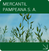MERCANTIL PAMPEANA S. A.